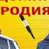 ГУБКИ БАНТИКОМ ПУЗО ДОМИКОМ ПАРОДИЯ