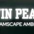 1 Hour Of Twin Peaks Ambient Music Dream Sequencer