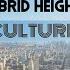 Culture Sted E Hybrid Heights Club Mix