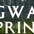 Spring At Hogwarts Harry Potter Hogwarts Legacy Music And Ambience