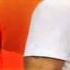 Pitbull Rumba