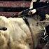 One Hell Of A Ride Bull Riding Music Video