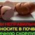 Вы неправильно вносите в почву яичную скорлупу огород сад дача урожай удобрение