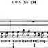 J S Bach Cantata Ein Herz Das Seinen Jesum Lebend Weiß BWV 134