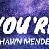 When You Re Gone Shawn Mendes Video Lyrics