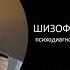 Шизофрения для чайников Психодиагностическая лекция Андрея Саламатова по фильму Паук 2002