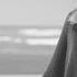 Sean Norvis Ft Copamore Justine Berg Embrace Me Dani Corbalan Radio Edit