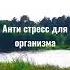 Расслабляющий музыка для души для медитации релакса