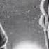 Oqshom 15 Yoshda