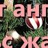 Пеят ангели със жар Hark The Herald Angels Sing Инструментал за караоке флейта V2 BuFN
