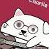 Charlie Puth We Don T Talk Anymore Cover By Bongo Dog