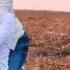 АНДРЕЙ С ДНЕМ РОЖДЕНИЯ ПОЗДРАВЛЯЕМ СЧАСТЬЯ И ЗДОРОВЬЯ ЖЕЛАЕМ
