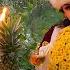 Dilafruz Hayitmetova Sarik Guller Official Music Video