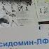 Таблетки Молсидомин лф средство по профилактике приступов стенокардии и сердечной недостаточности
