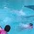 Pool Swimming