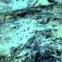 Spike N Shadow Sassin Penumbra Black Plague Part 5