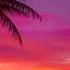 3 Hours Ambient Chillout Music Balearic Sunset Session By Jjos Terrace Mix Summer 2020