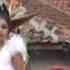 Atraksi Singa Paling Spektakuler PUTRI GENADES Basah Basah