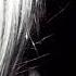 Free Kai Angel 9mice Type Beat Odna Ambient Type Beat