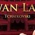 Swan Lake Act III Scene 1