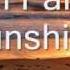 Ryan Farish Sunshine