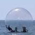 Winning A Game Of Fortnite In The Middle Of The Ocean