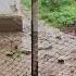 картина природы Звук сильного дождя Saund Hea Rain Rainsoundsforsleeping Music Deepsleep