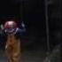 Funny Clown Meme