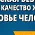 Экологическая безопасность качество среды и качество жизни населения Здоровье человека