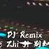 Dj Remix Bie Zhi Ji
