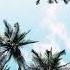 FREE Deep House Type Beat Lie 2023 Pop Dance Instrumental Club Beats