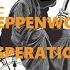 Steppenwolf Desperation