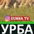 ГIУРБАН ЦОКА ЙОХКА МЕГАР ДАЦ ХЬЕХАМ