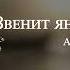 ANNA ASTI Звенит январская вьюга