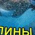 АНГЛИЙСКИЙ НА ФИЛИППИНАХ и поездки со школьными друзьями Osmena Peak Oslob Moalboal