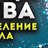 МАТРИЦА ГАРЯЕВА ПОЛНОЕ ИСЦЕЛЕНИЕ ВСЕГО ТЕЛА 23 03 2024 г