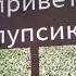 привет пупсик