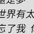 忘了你忘了我 王傑 吉他伴奏