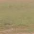 Moranda Football Tournament 2022 Teachers 11 Manjhari Vs Moranda