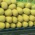 Harvesting 50KG Of Honey Jackfruit Use 3 Wheeled Truck To Sell At Countryside Market Farm Life