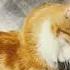 Мой Хвостик Cat