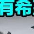 殲 10擊落 陣風 中國厲害了 攻台有希望 會員樣片節選