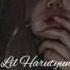 DJ DAVO VARTAN TAYMAZYAN SASH SER IM