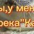 808 БАС ИЗ ТРЕКА КАДИЛЛАК