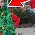 Real Life Christmas Tree For 24 Hours Elf On The Shelf Challenge