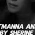 Sherine Batmanna Ansak English Lyrics Slowed