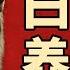 白眼狼養成記 中國如何薅爆世界銀行和亞開行 小翠時政財經 20250509 712