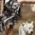 Inna Sun Is Up The Perez Brothers Remix Vs Afrojack And Steve Aoki Ft Miss Palmer No Beef