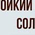 Стойкий оловянный солдатик Краткое содержание