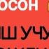 МУЛОКОТДА ЭНГ КЕРАКЛИ ГАПЛАР РУС ТИЛИДА ЁДЛАНГ